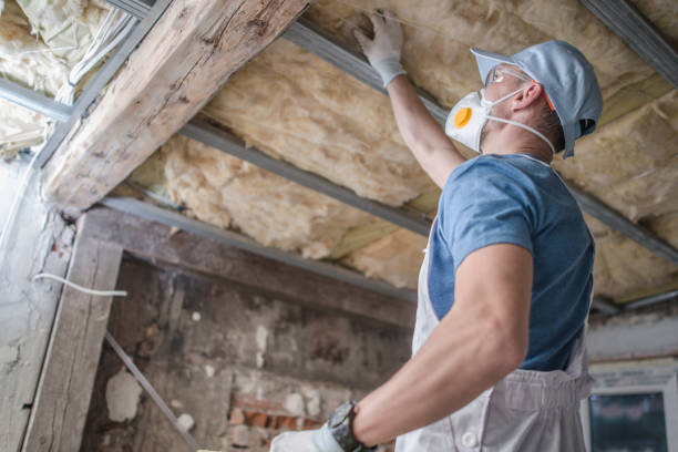 Best Best Insulation Companies  in Oasis, CA