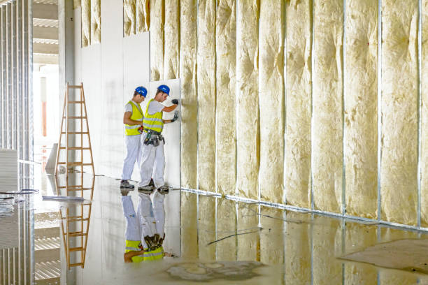 Best Insulation Replacement Services  in Oasis, CA